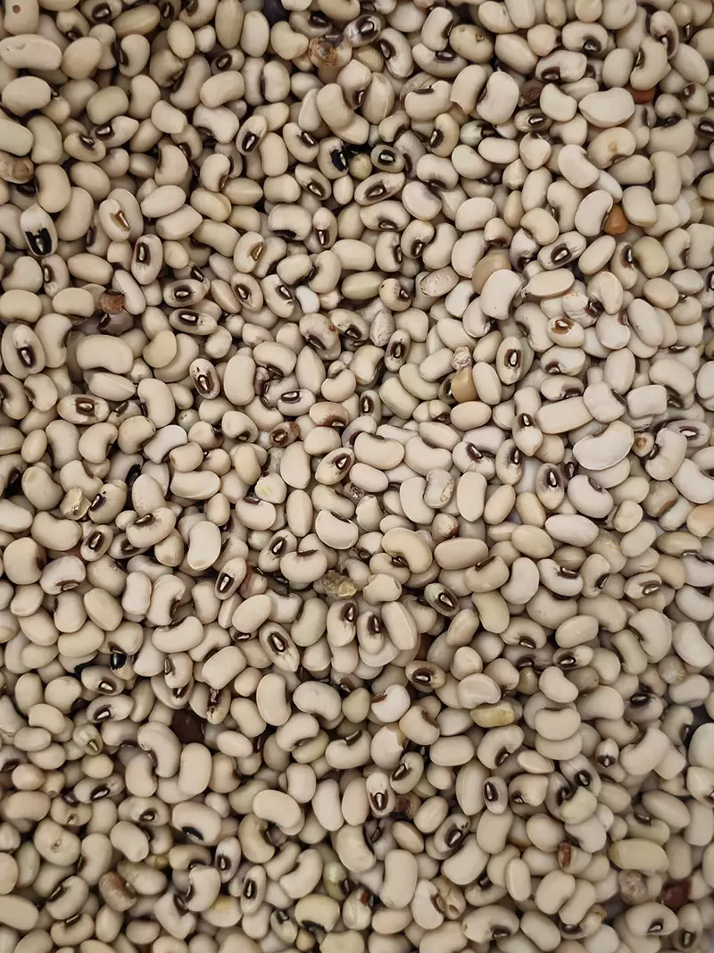 Black_eyed_beans
