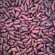 Red_kidney_beans