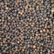black_pepper