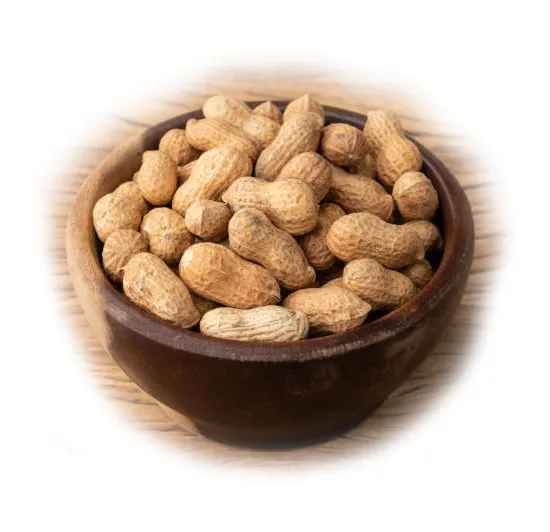 groundnuts